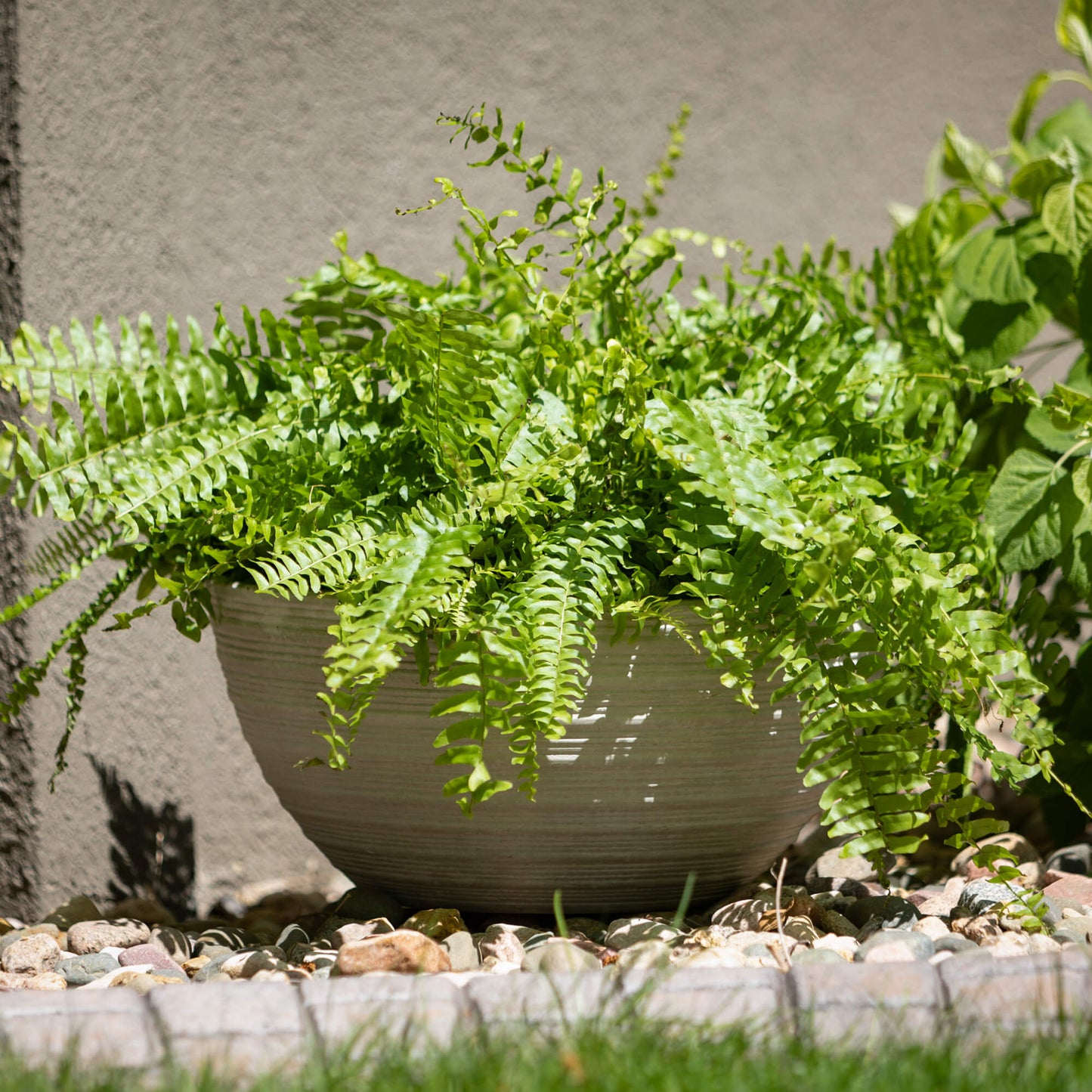 Ribbed Charcoal Basin Planters